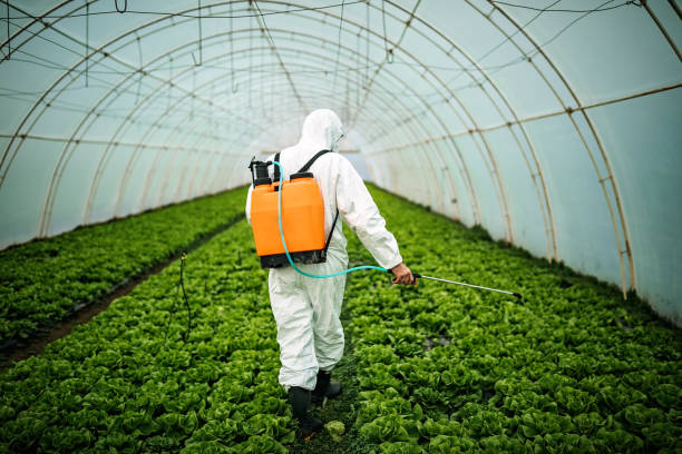 Best Pest Control for Homes  in Obion, TN
