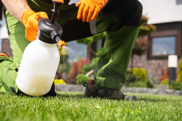 Best Emergency Pest Control  in Obion, TN