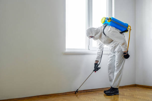 Best Pest Prevention Services  in Obion, TN