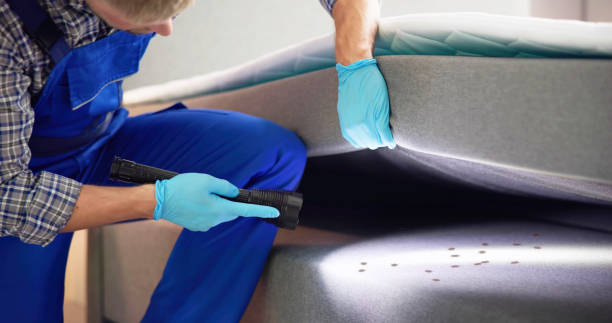 Best Mosquito Control Services  in Obion, TN