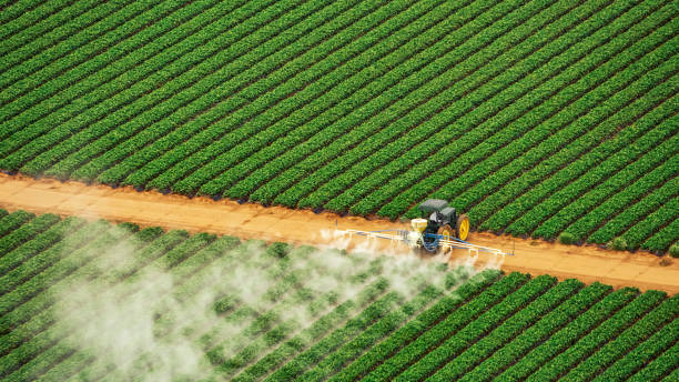 Best Pest Control Near Me  in Obion, TN