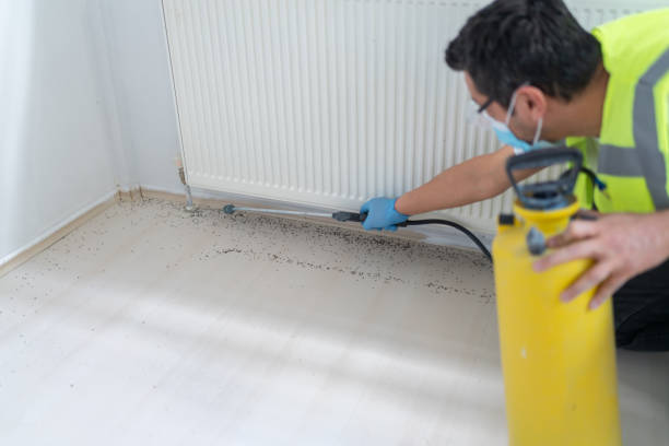 Best Affordable Exterminators  in Obion, TN